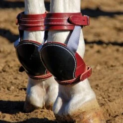 NRS Ed Galemba Roper Skid Horse Boots 5 NRS Ed Galemba Roper Skid Horse Boots -NRS || STANCE || Classic Shop EG SB life