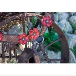 Circle Y Saddlery Sarah Rose Vintage Breast Collar -NRS || STANCE || Classic Shop X4404 100V 3