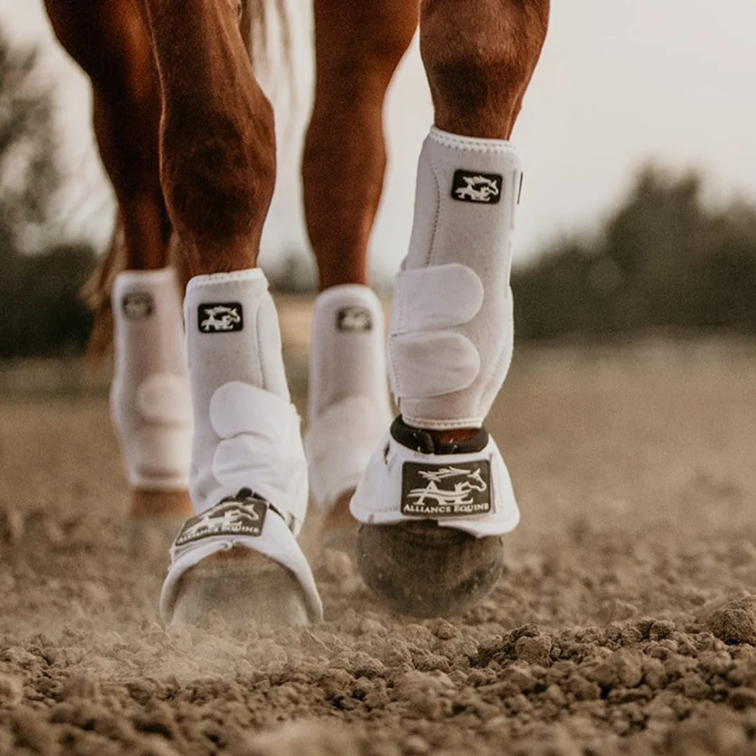 NRS || STANCE || Classic Shop -NRS || STANCE || Classic Shop Untitled design 70