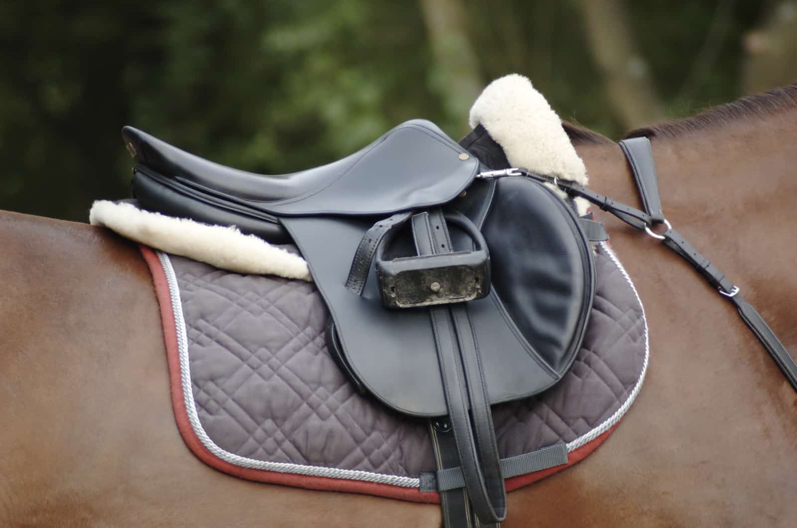 NRS || STANCE || Classic Shop -NRS || STANCE || Classic Shop jumping saddle on horse