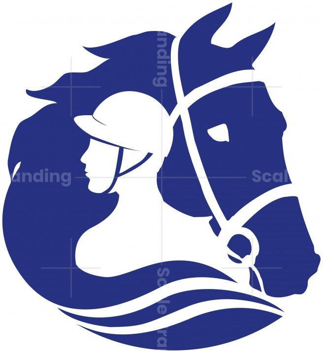 NRS || STANCE || Classic Shop